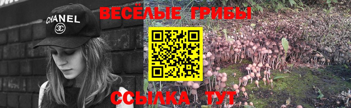 Нефтекумск  Галлюциногенные грибы MAGIC MUSHROOMS  Вход с VPN 